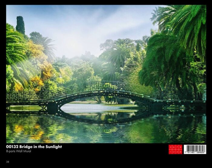 ⁦00132 Bridge in the Sunlight⁩ - الصورة ⁦1⁩