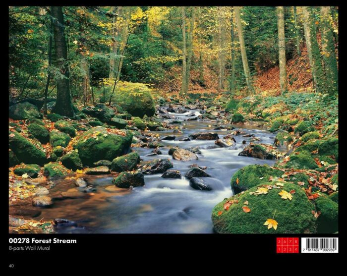 ⁦00278 Forest Stream⁩ - الصورة ⁦1⁩