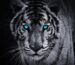 Blue Eyed Majesty Premium Tiger Mural From Yaqoot Wallpaper