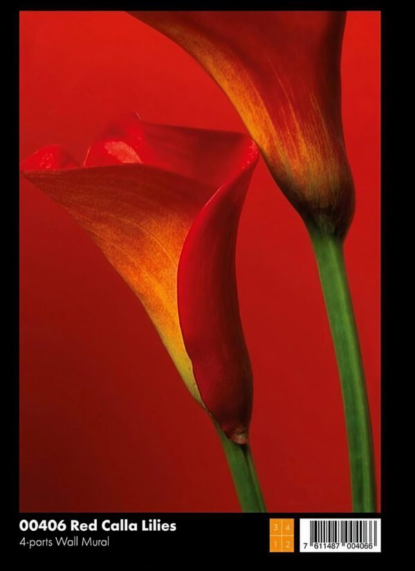 00406 Red Calla Lillies - Image 1