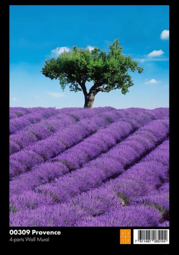 00309 Provence - Image 1