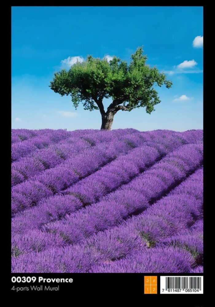 00309 Provence - Image 1