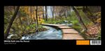 00436 Path into the Forest