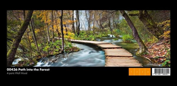 00436 Path into the Forest - Image 1