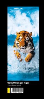 00590 Bengal Tiger