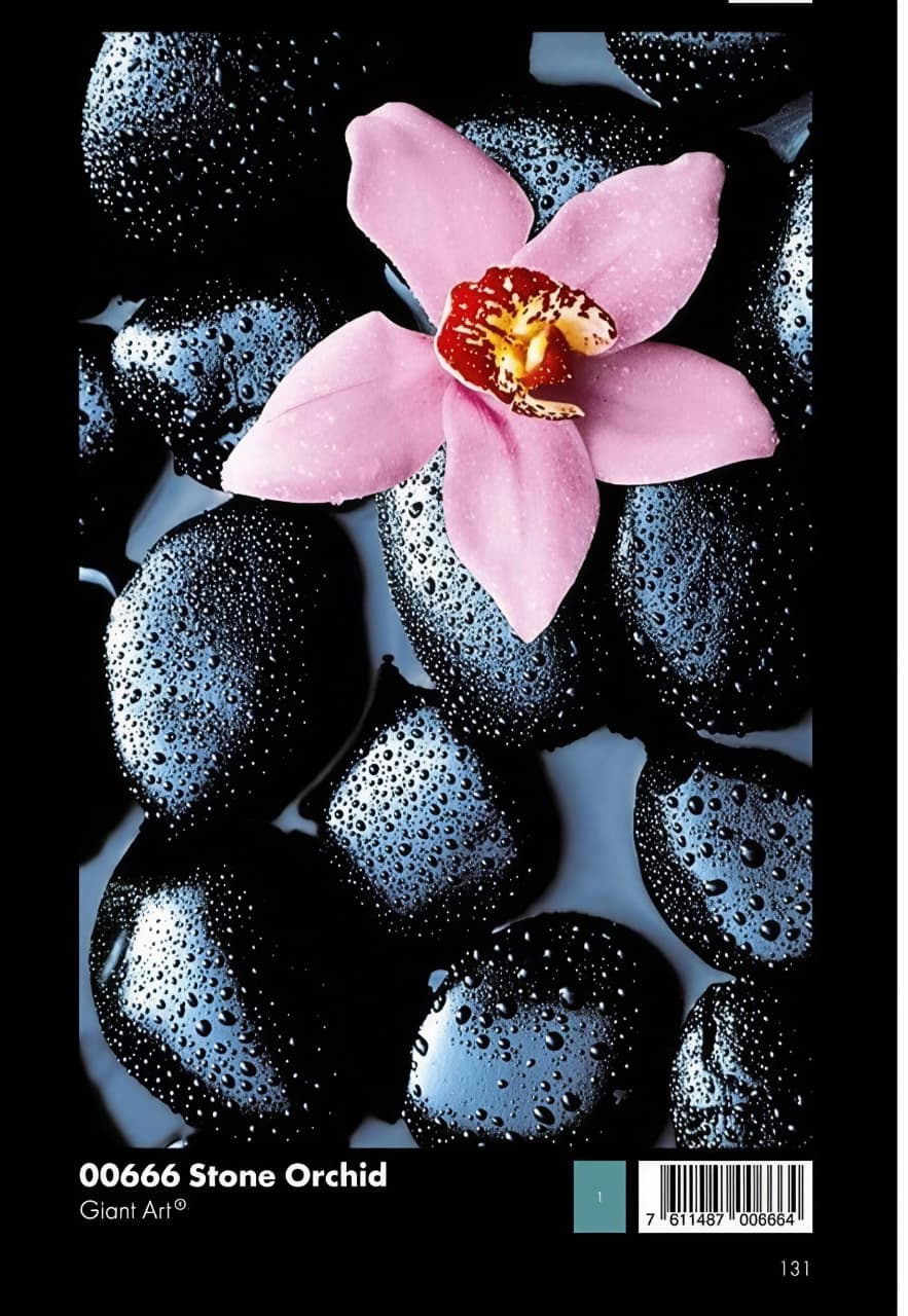 WhatsApp Image 2025-08-16 at 7.28.27 PM (2) 00666 Stone Orchid - Image 1