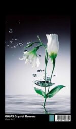 00673 Crystal Flowers