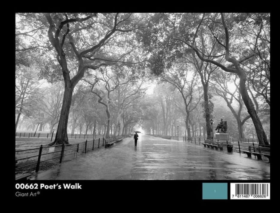 WhatsApp Image 2025-08-16 at 9.21.51 PM 00662 Poet's Walk - Image 1