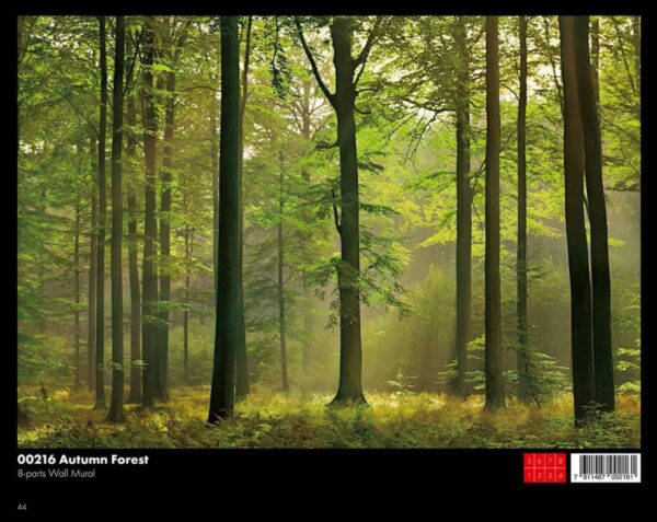 00290 Nordic Forest - Image 1