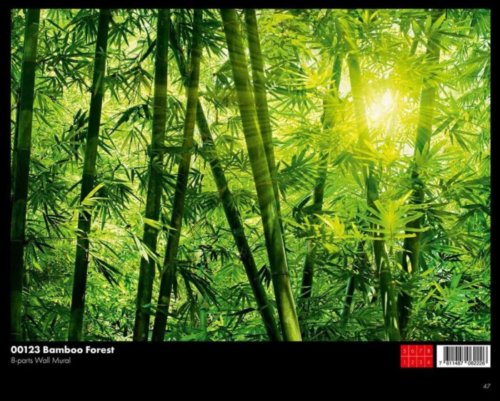 00123 Bamboo Forest - Image 1