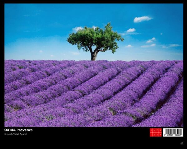 ⁦00144 Provence⁩ - الصورة ⁦1⁩