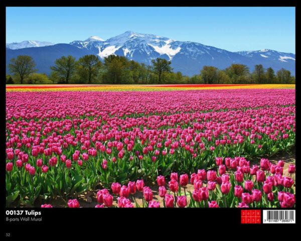 00133 Sakura Blossom - Image 1