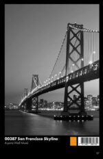 00387 San Francisco Skyline