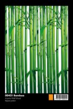 00421 Bamboo